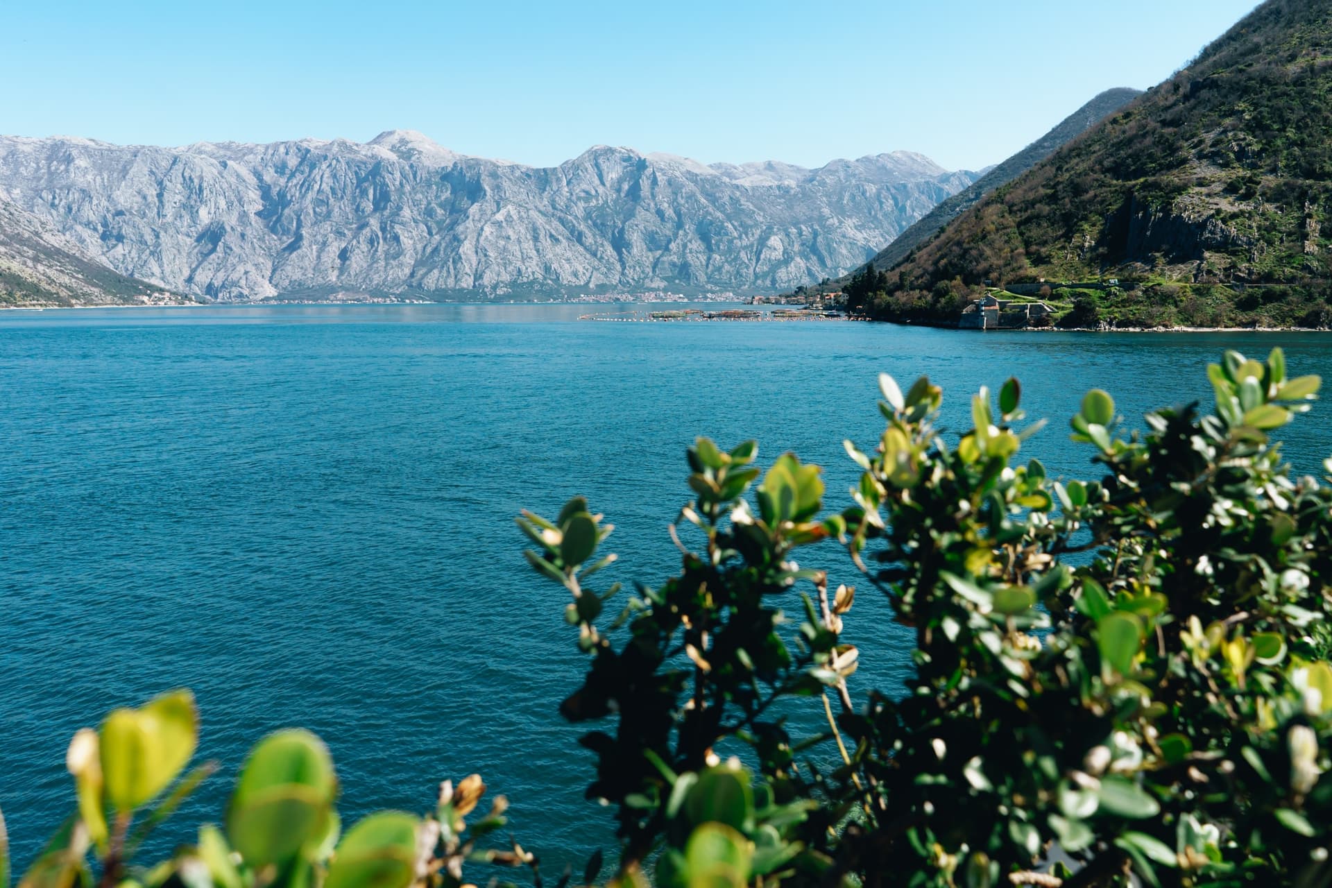 The Bay of Kotor