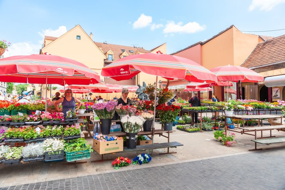 Dolac Market