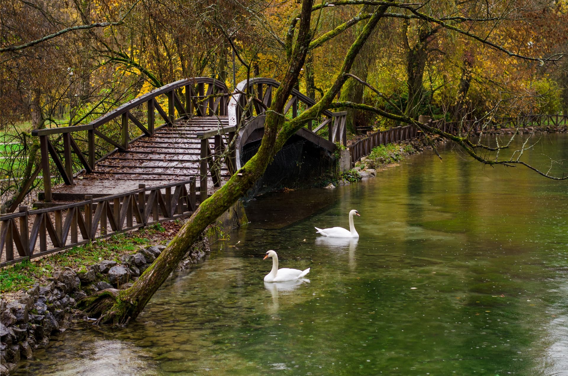 Vrelo Bosne